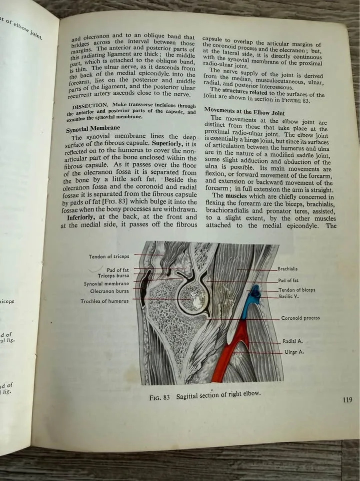 Cunningham's Manual of Practical Anatomy-Volume 1 image indicator(3)