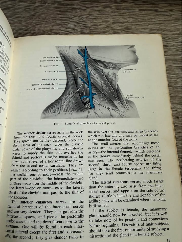 Cunningham's Manual of Practical Anatomy-Volume 1 - photo 4