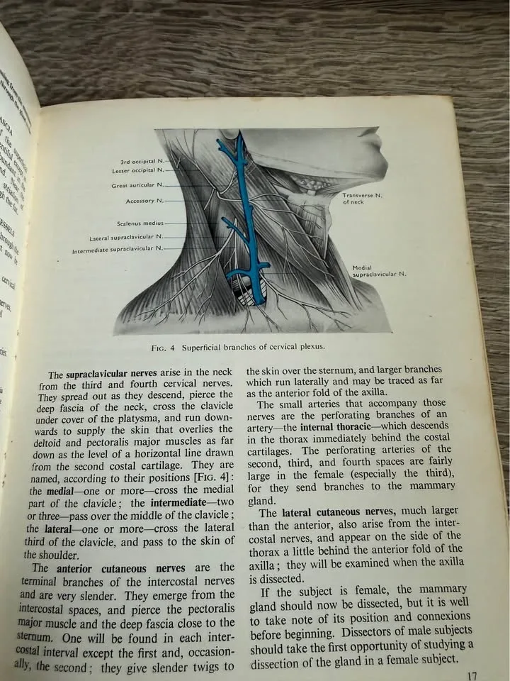 Cunningham's Manual of Practical Anatomy-Volume 1 image indicator(4)