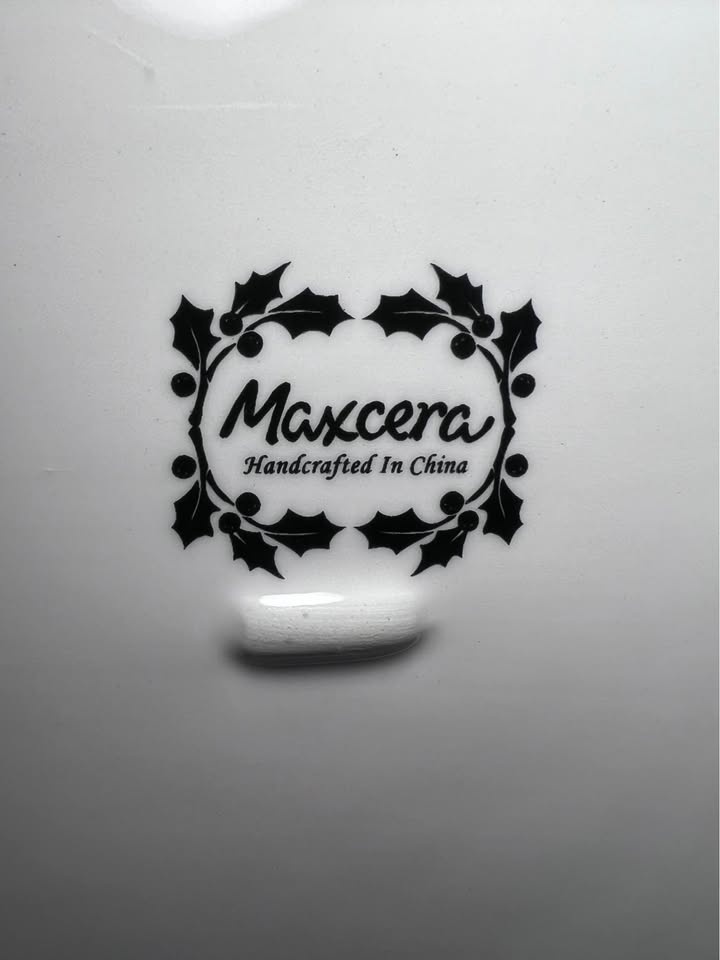 Maxcera "Snowville Collection" salad plate 8.75” - photo 4