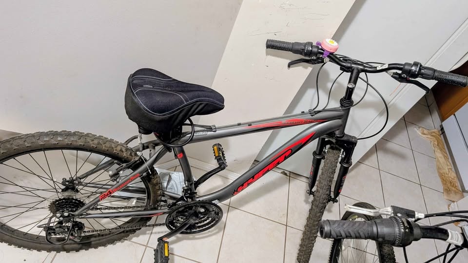 Bicycle + Free Air Pump, Lock, Bell, Seat Cover - photo 3