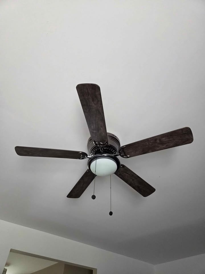 Hampton Bay 44 inch oil rubbed bronze ceiling fan - photo 2