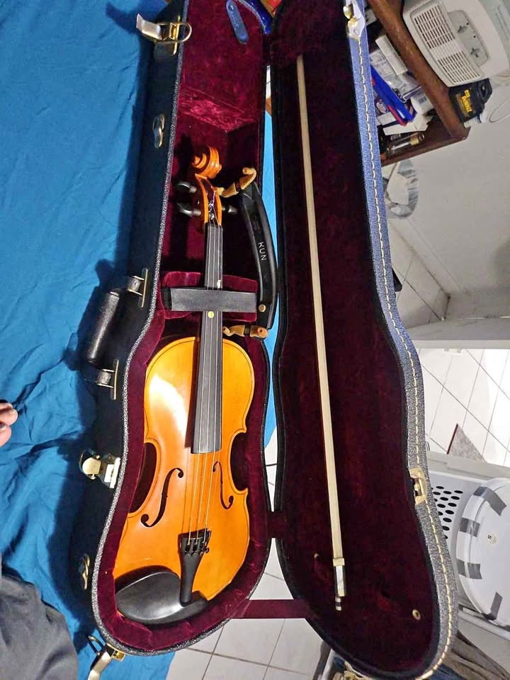 Josef Jan Dvořák Violin – Crafted in Cremona |