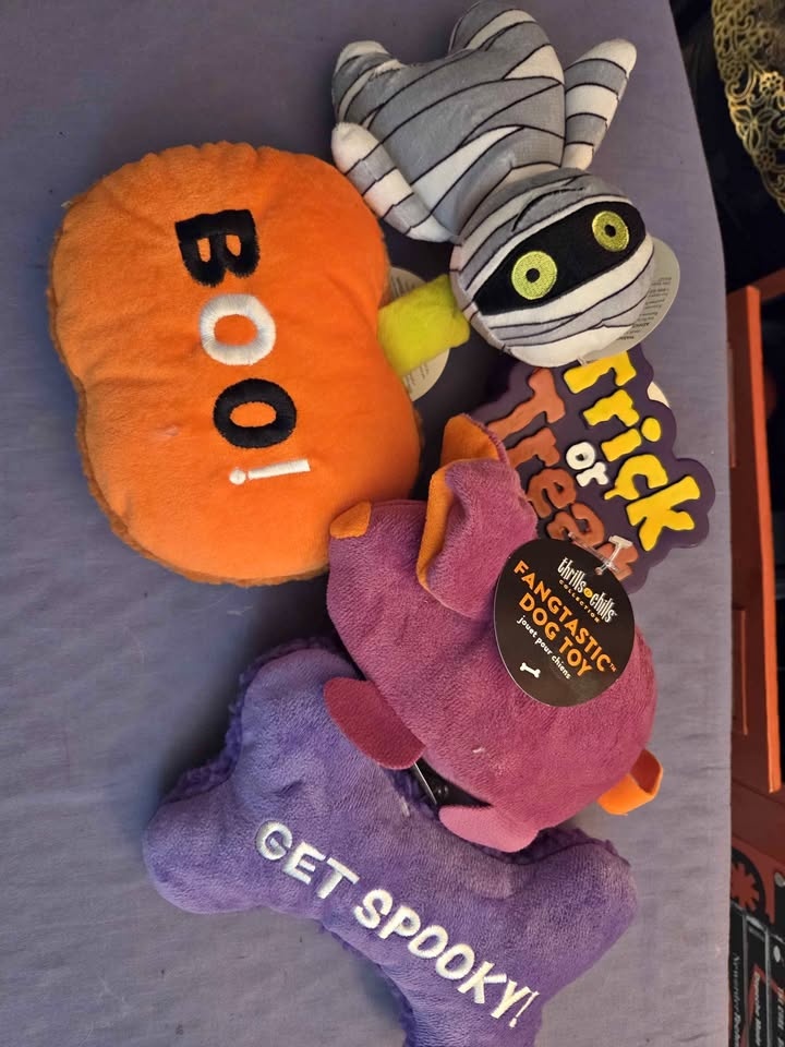 Dog toys: Halloween themed. 🥕