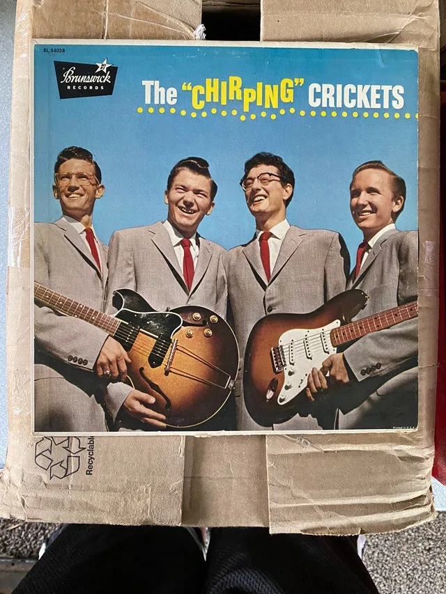 The chirping, crickets Brunswick records