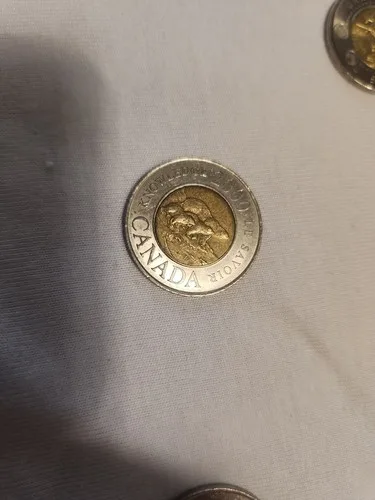 Conmemorative Canadian coins mixed lot 12 Toonies image indicator(10)