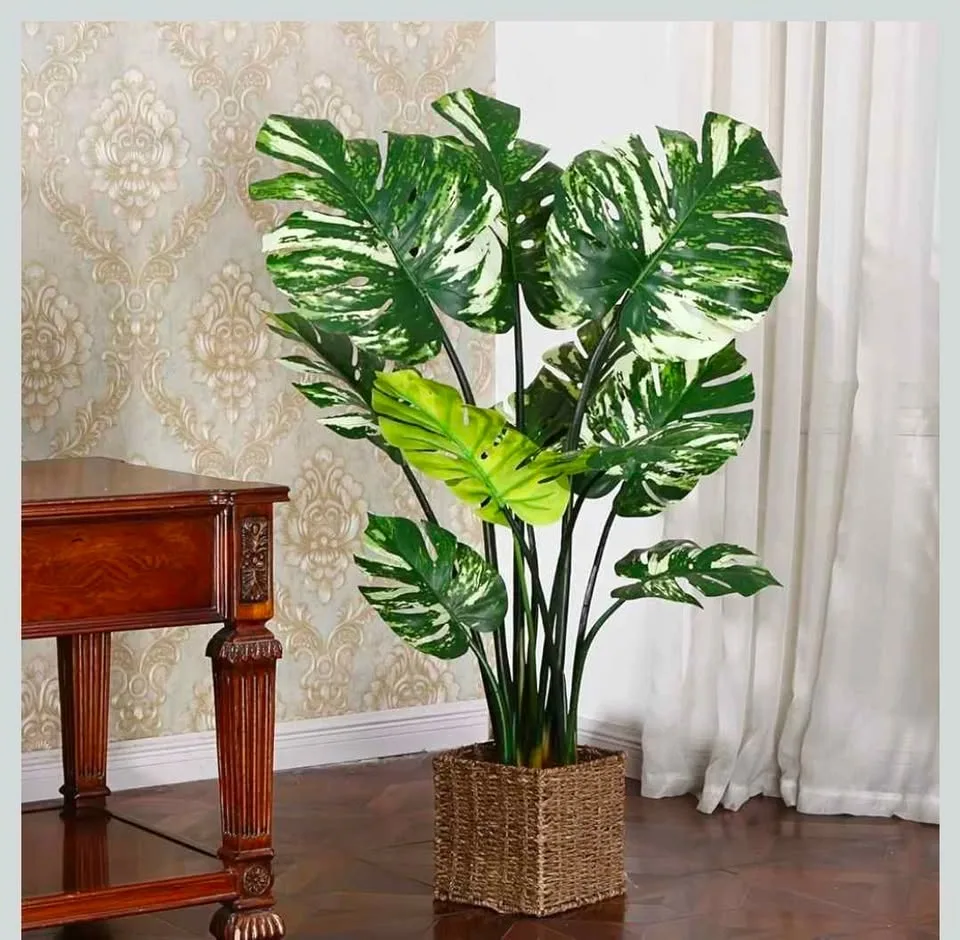 NEW Artificial Variegated Monstera Deliciosa Plant 43" image indicator(4)