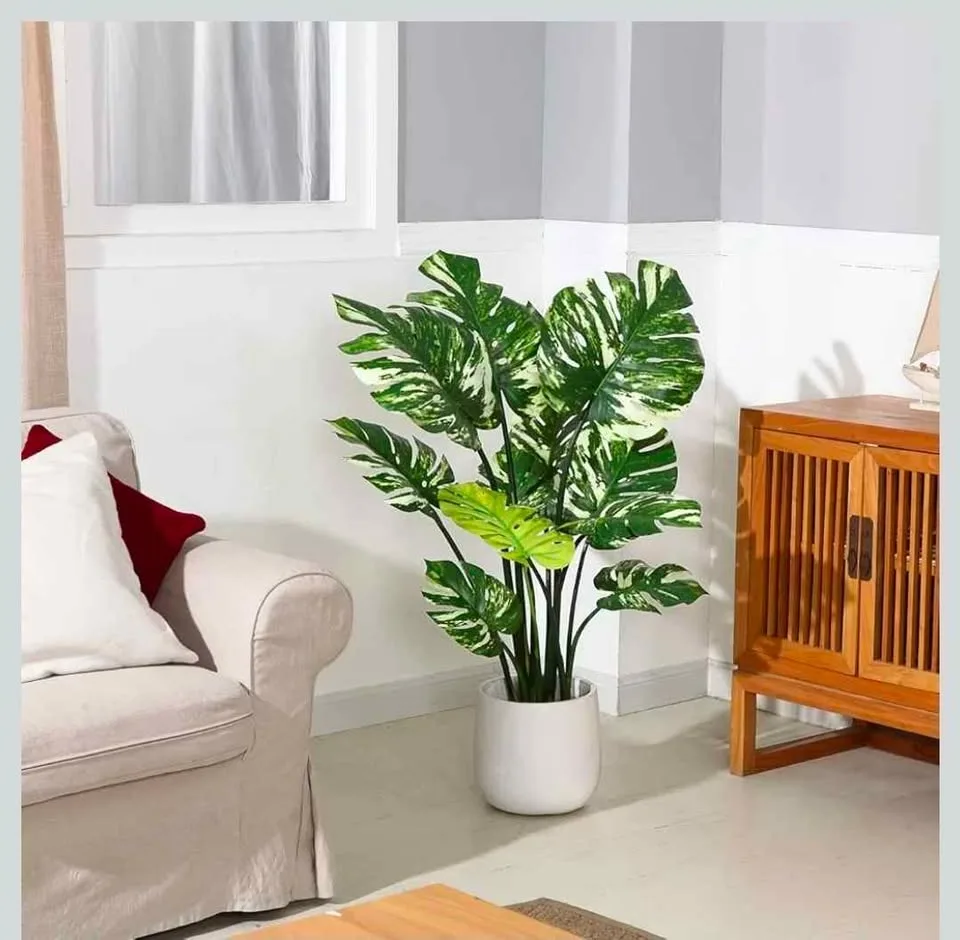 NEW Artificial Variegated Monstera Deliciosa Plant 43" image indicator(6)