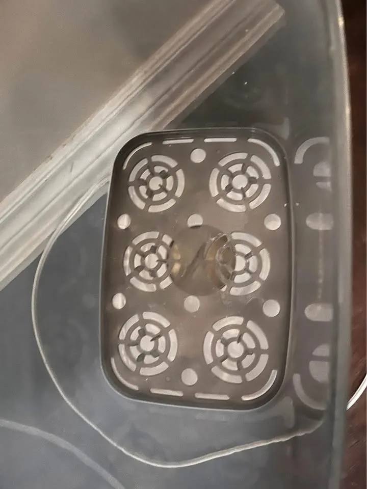 Dr brown steriliser image indicator(4)