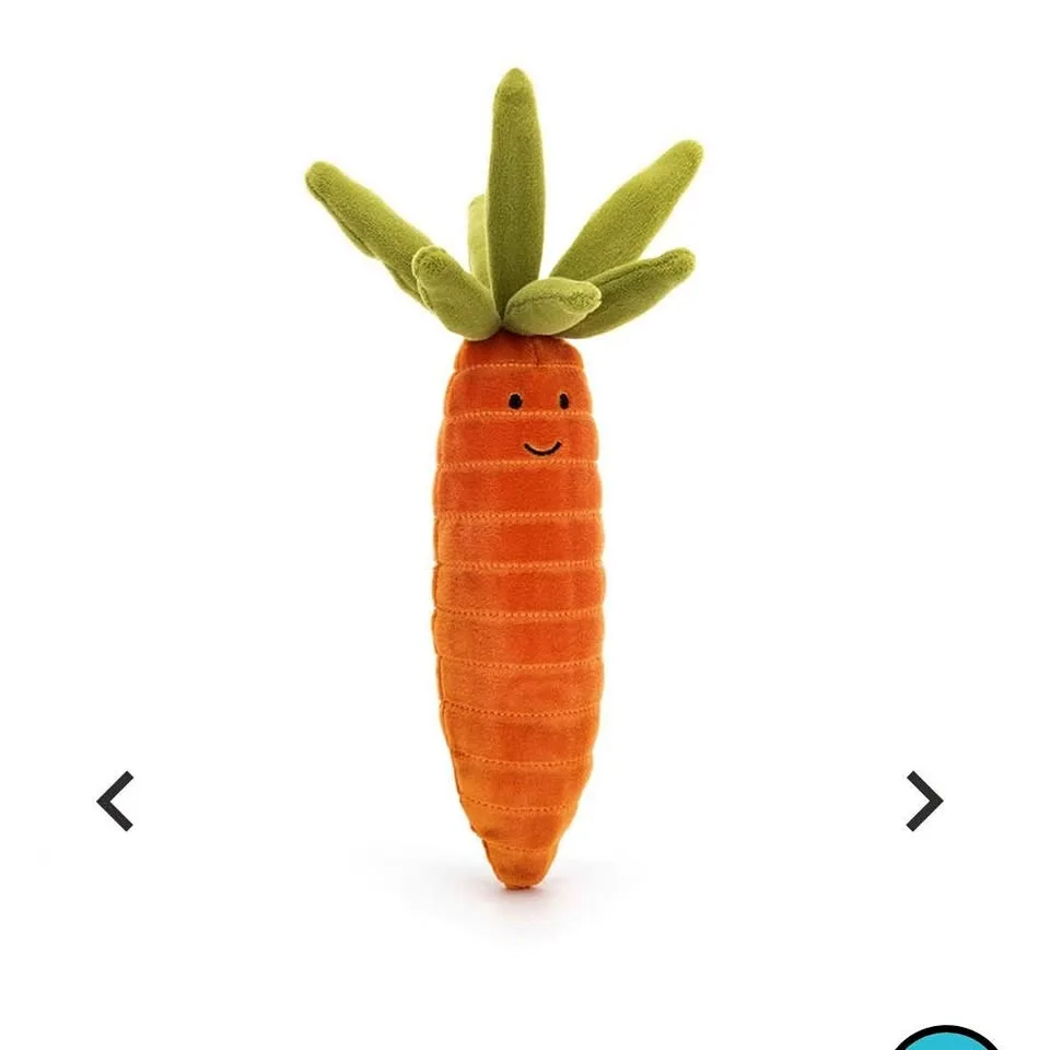 Vivacious Vegetable Carrot - BNWT