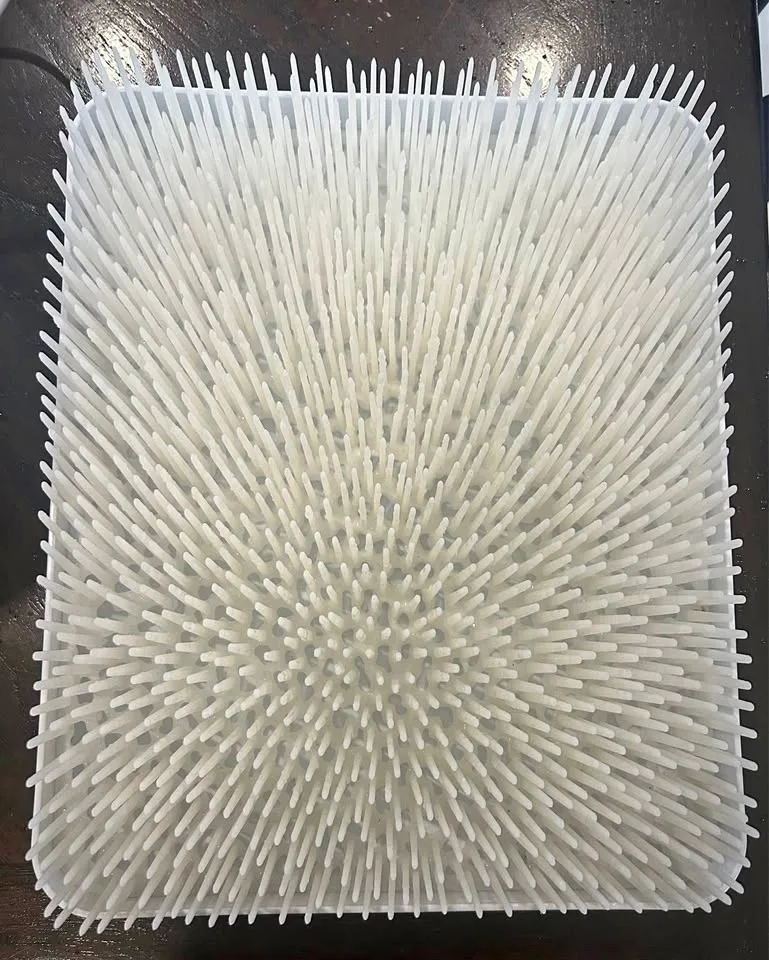 Dr. Brown’s Bottle Sterilizer + Boon Grass Drying Rack