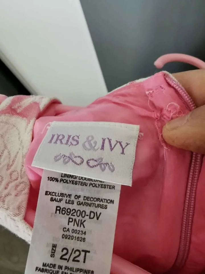 BNWOT toddler size 2 dress image indicator(3)