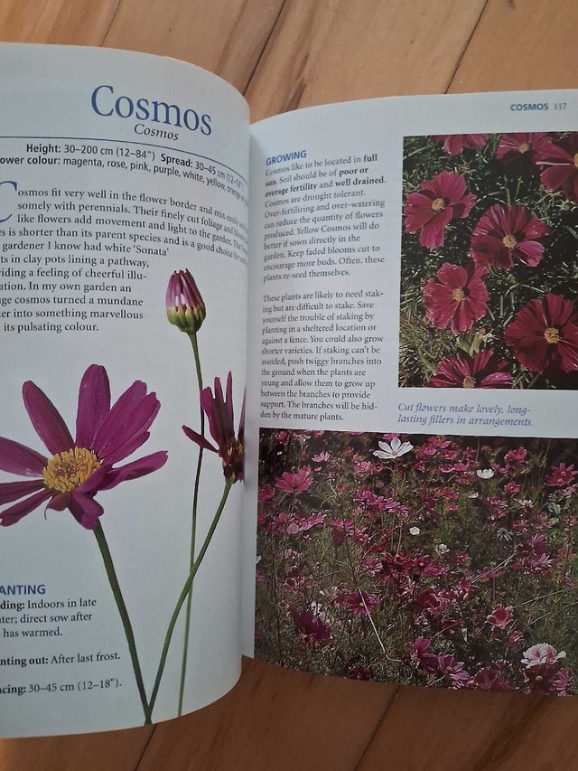 ANNUALS FOR ONTARIO - photo 3