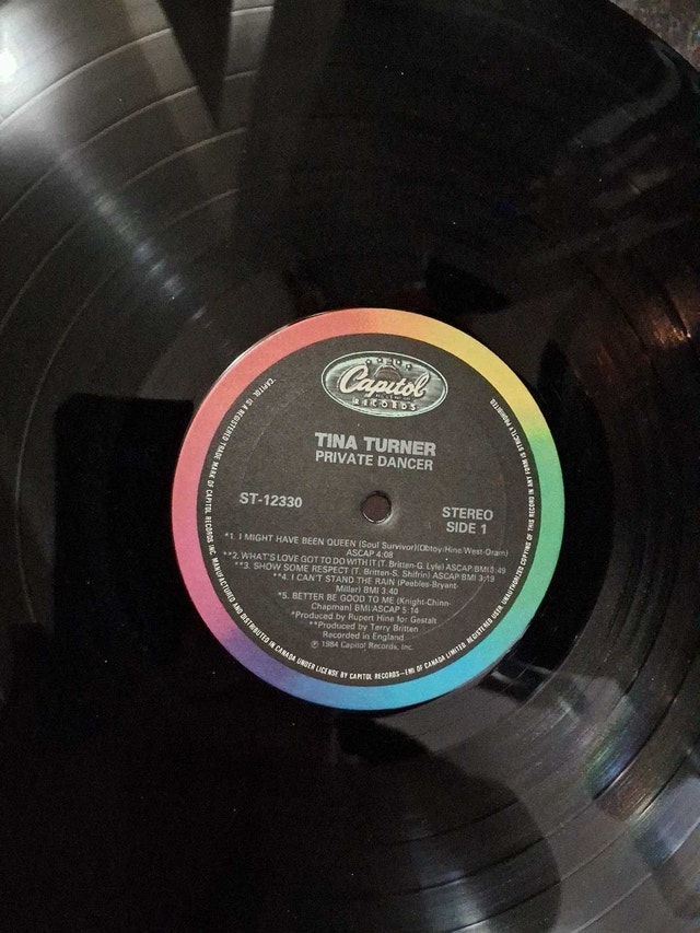 TINA TURNER - PRIVATE DANCER (VINYL) - photo 3