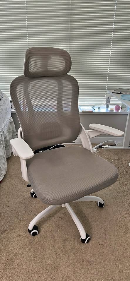Ergonomic Mesh Office Chair