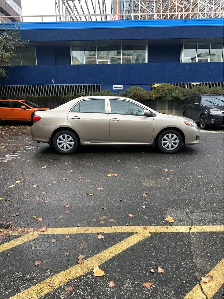 2009 Toyota Corolla CE image indicator(4)