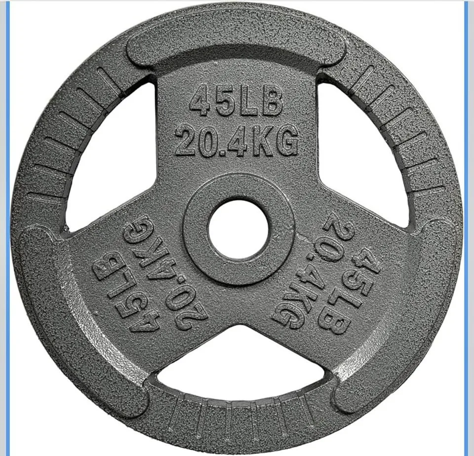 45LB Olympic Cast Iron Weight Plate
