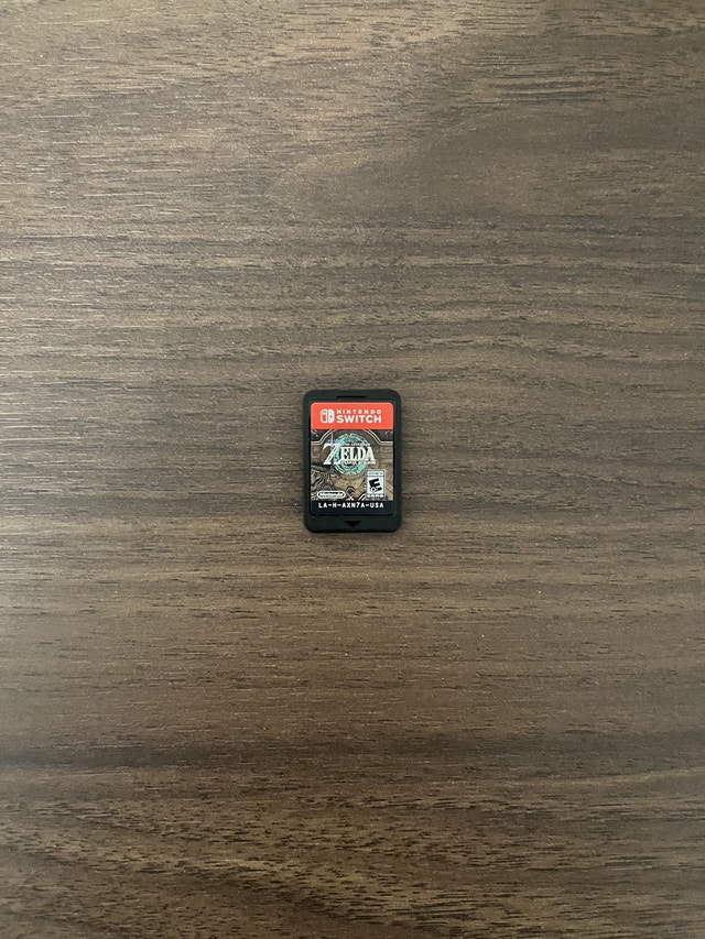The Legend of Zelda: Tears of the Kingdom - photo 5