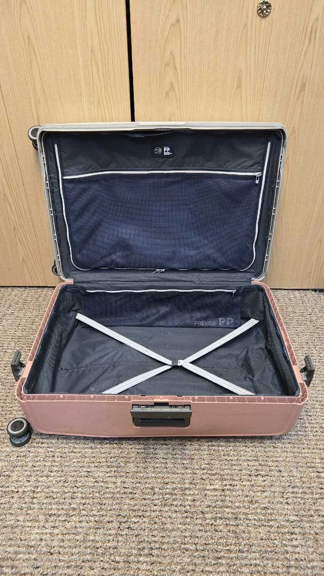 Eminent Gray & Pink Luggage