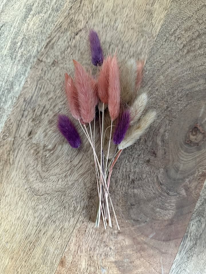 Bundle of Dried Bunny Tails