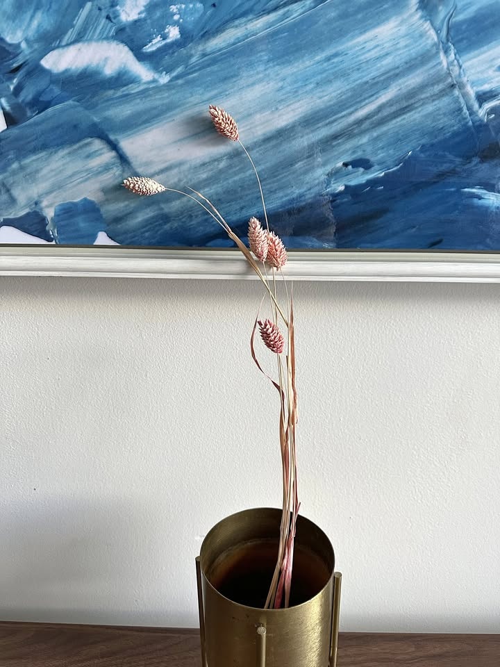 Dried Pink Phalaris - Bundle of 5