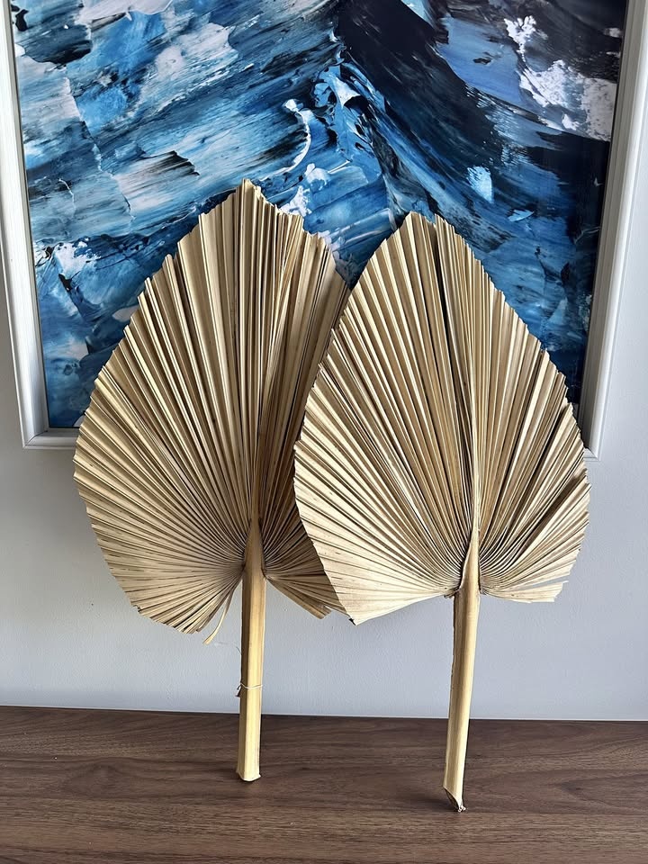 Pair of Large Dried Palm Fronds