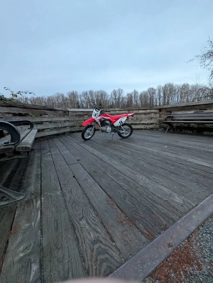 2021 Honda CRF 110 dirt bike mint condition image indicator(5)