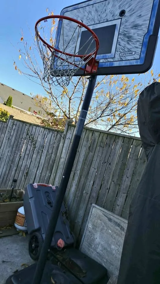 Basketball net (NEED GONE)