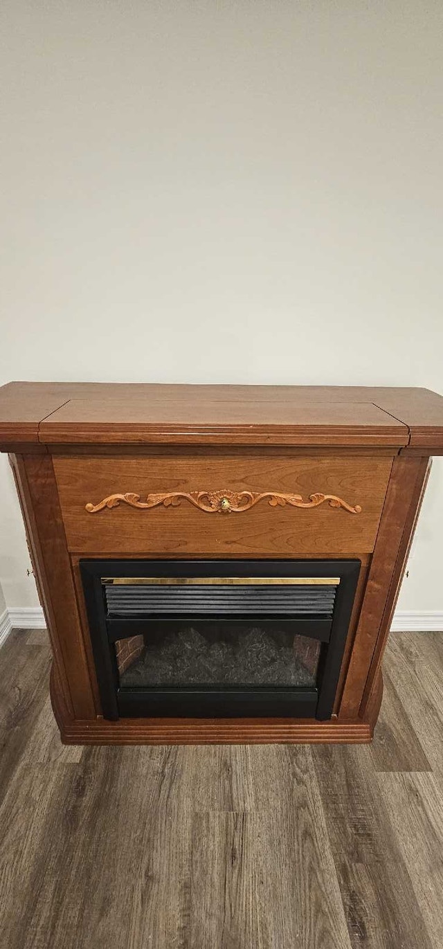 Electric Fireplace with Remote - photo 5