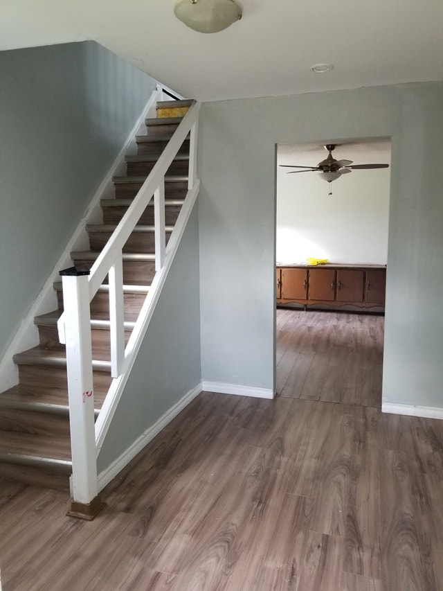 House Rental SSM Alexandra Street - photo 4
