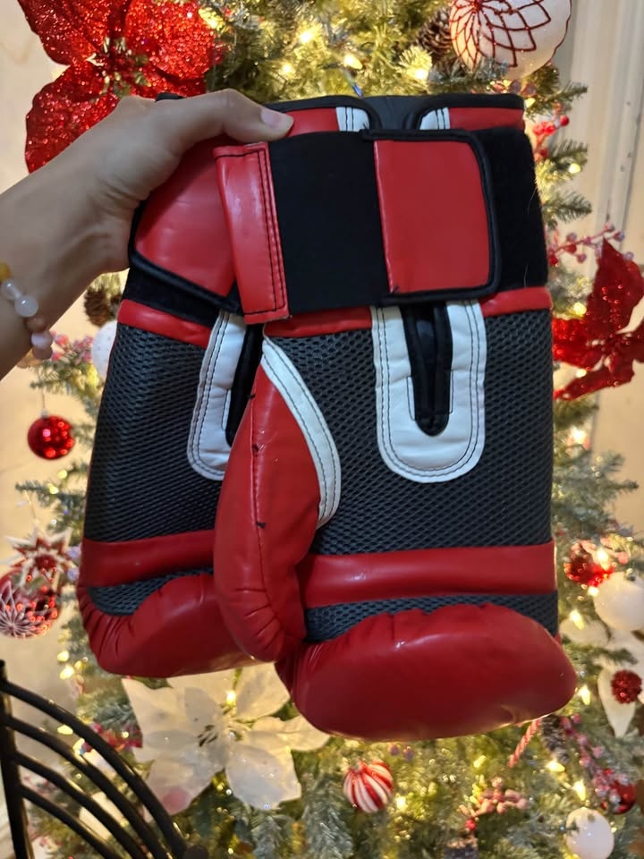 Boxing Gloves for Sale - photo 2