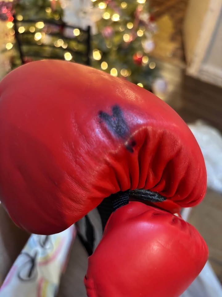 Boxing Gloves for Sale - photo 3