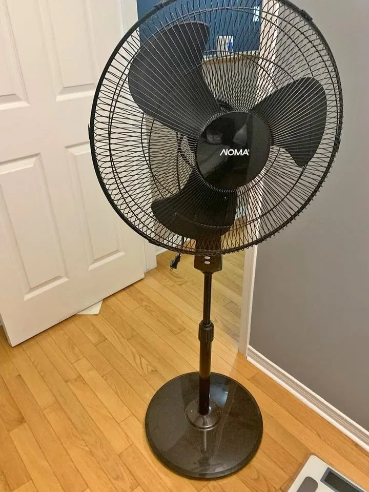 NOMA Oscillating Fan with Remote
