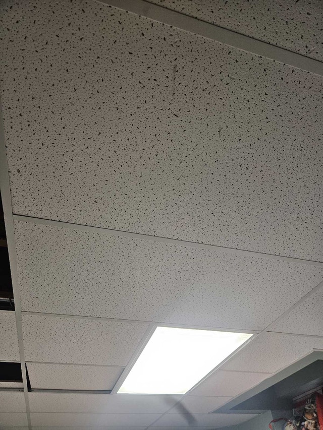 drop ceiling - photo 2