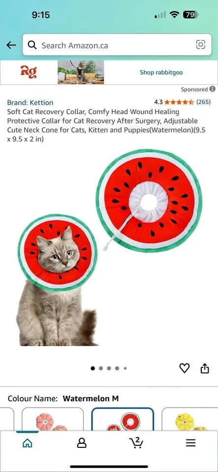 Adjustable Cat Cone Collar