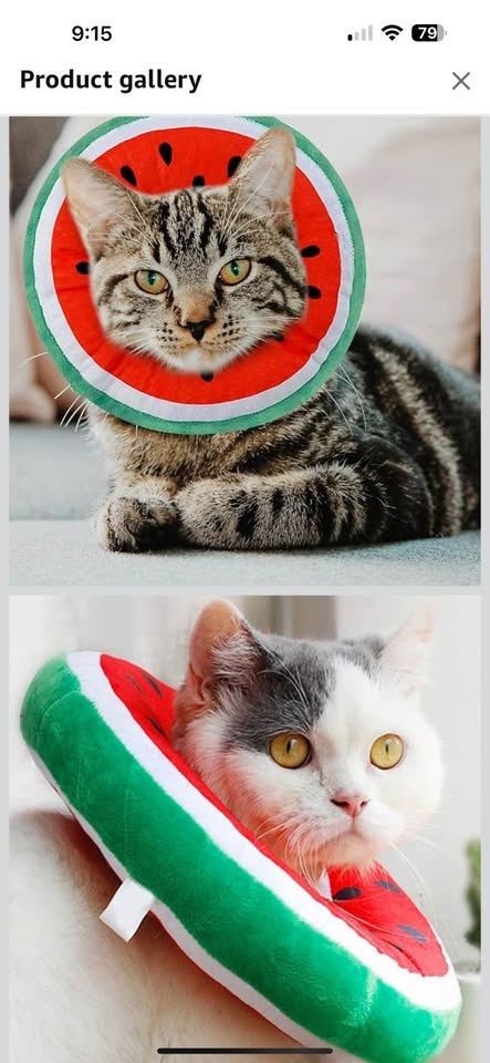 Adjustable Cat Cone Collar - photo 2