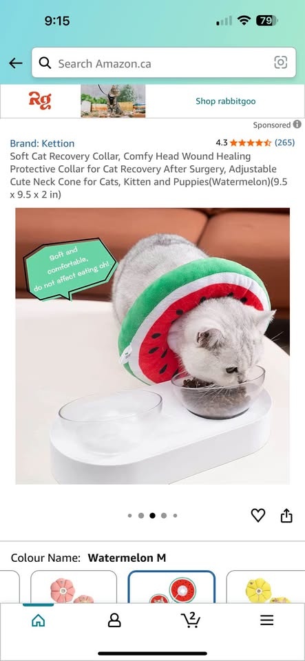 Adjustable Cat Cone Collar - photo 3