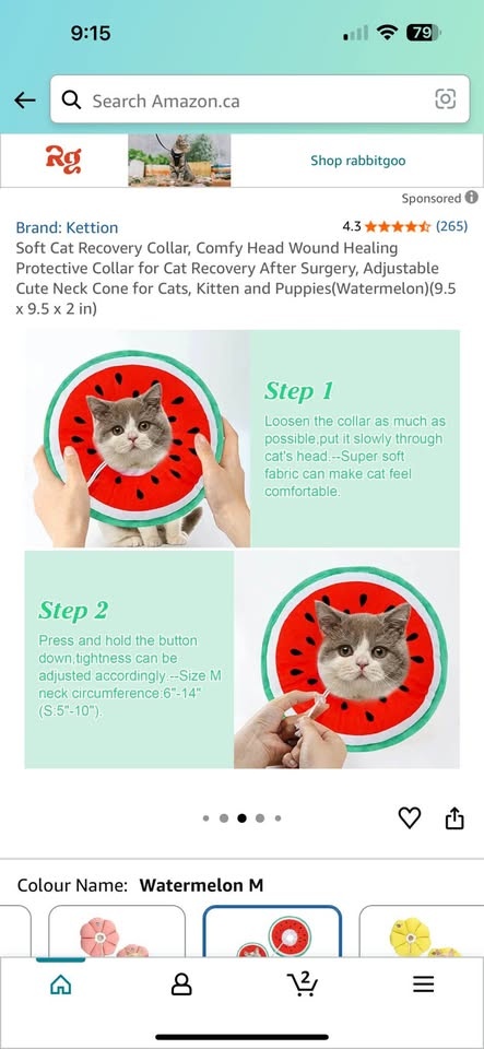 Adjustable Cat Cone Collar - photo 4