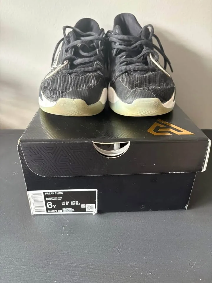 Giannis Freak 2s Size 7 Youth image indicator(3)