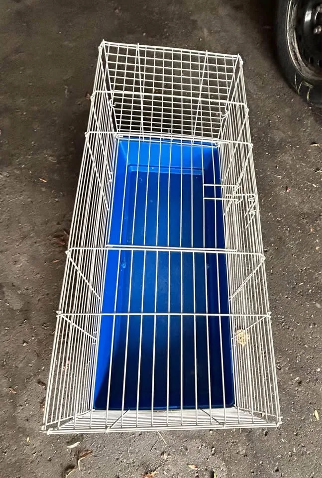 Rabbit Guinea Pig Ferret Chinchilla Hedgehog Small Animal Pet Ca image indicator(3)