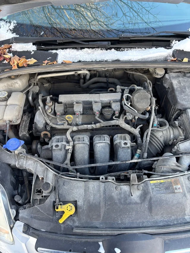 #cleanout 2013 Ford Focus SE 5DR Hatchback image indicator(8)