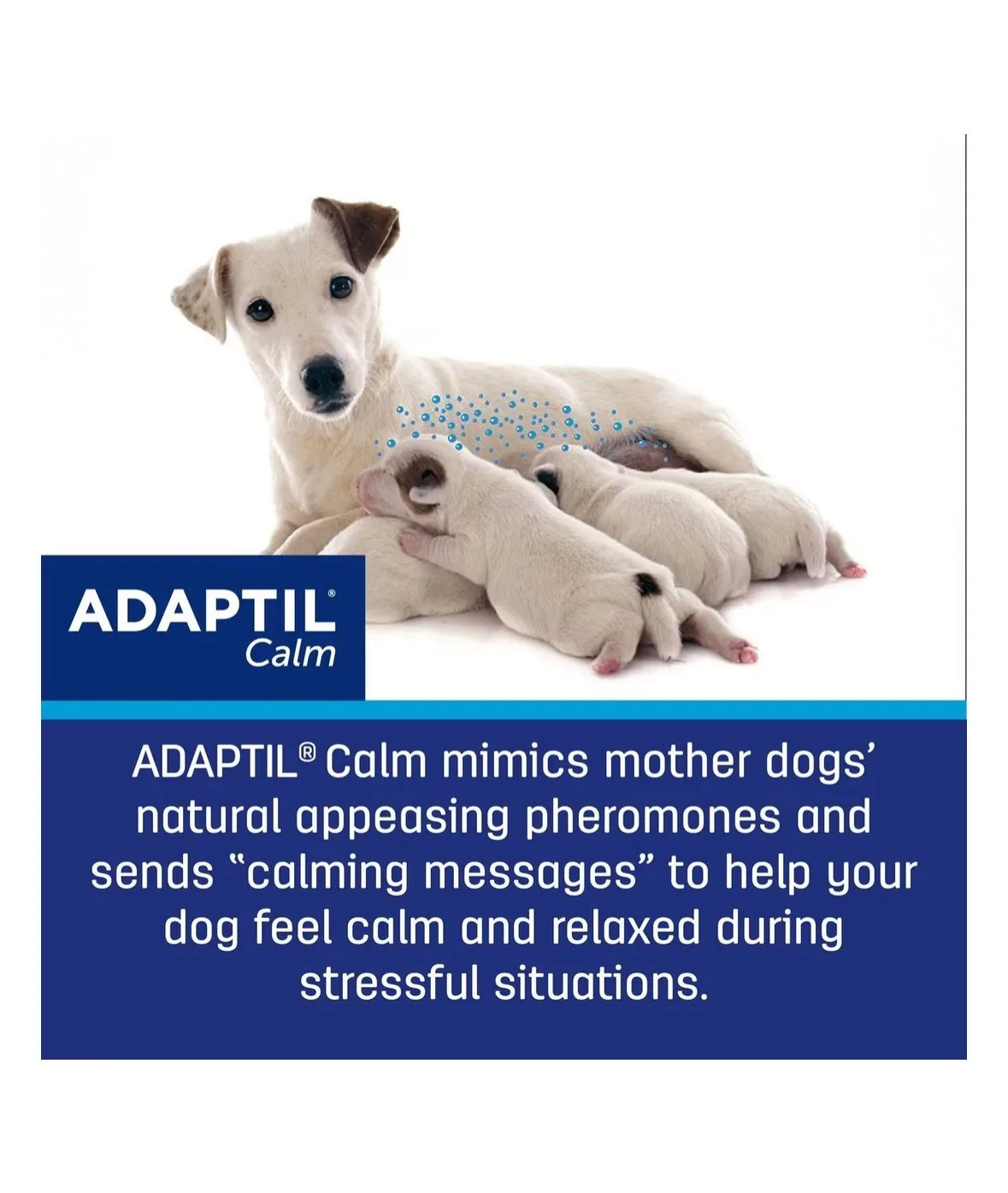 Adaptil Diffuser for stress and anxiety in dogs image indicator(7)