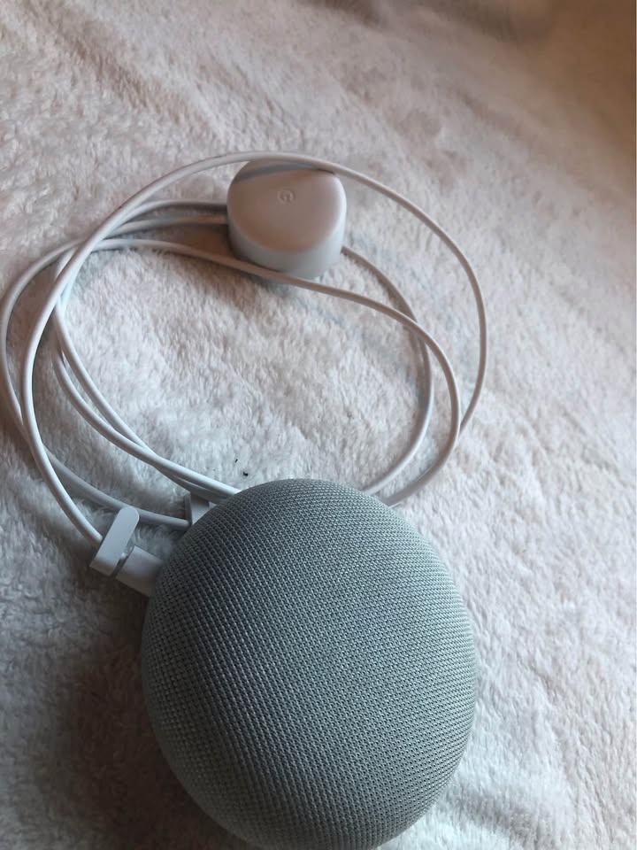 Google home - brand new