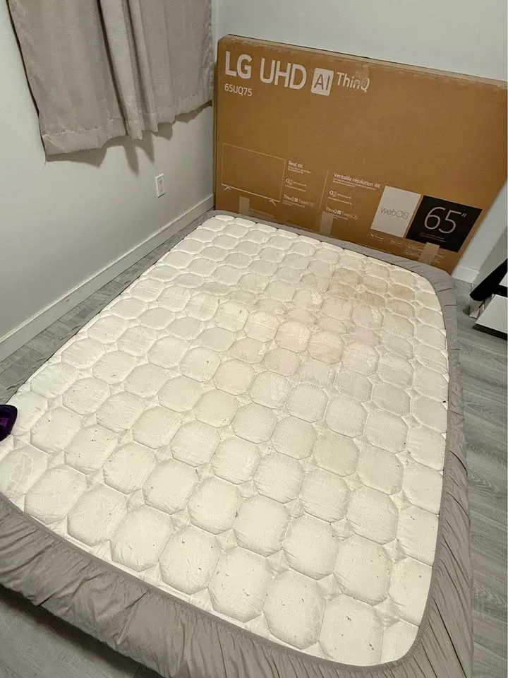 Free Queen mattress