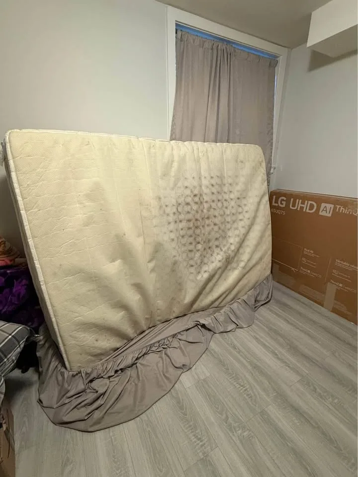 Free Queen mattress image indicator(2)