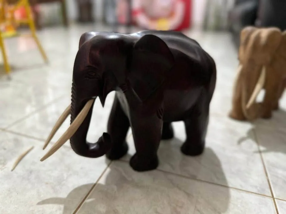 Wooden elephant image indicator(3)