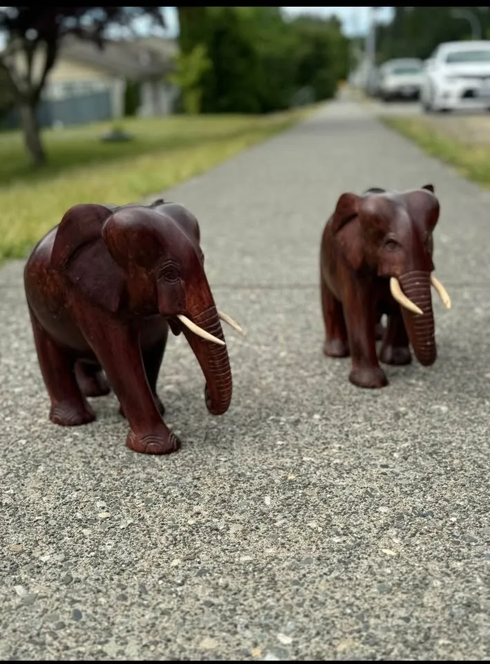 Wooden elephant image indicator(8)