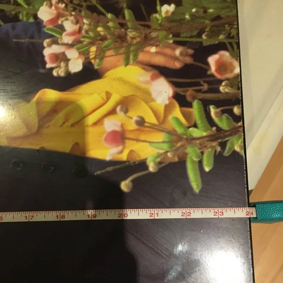 Beatles FAB FOUR 1969 Tom Murray Poster 24" X 36" image indicator(7)