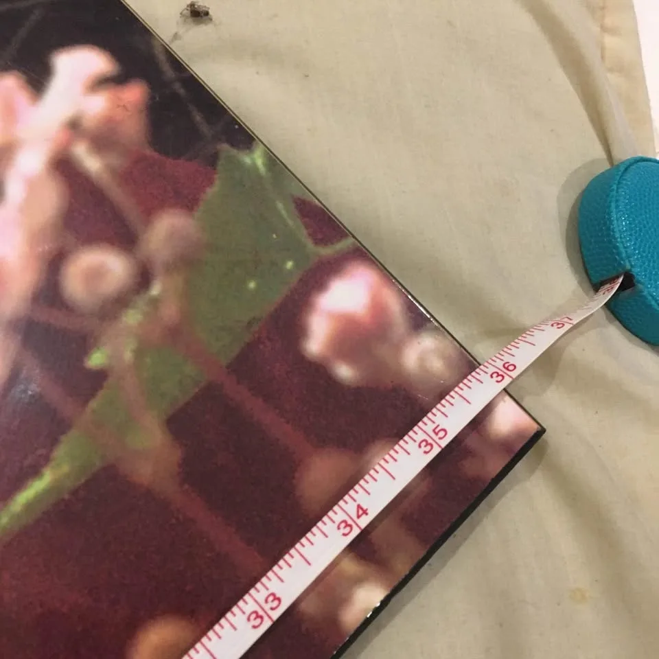 Beatles FAB FOUR 1969 Tom Murray Poster 24" X 36" image indicator(8)