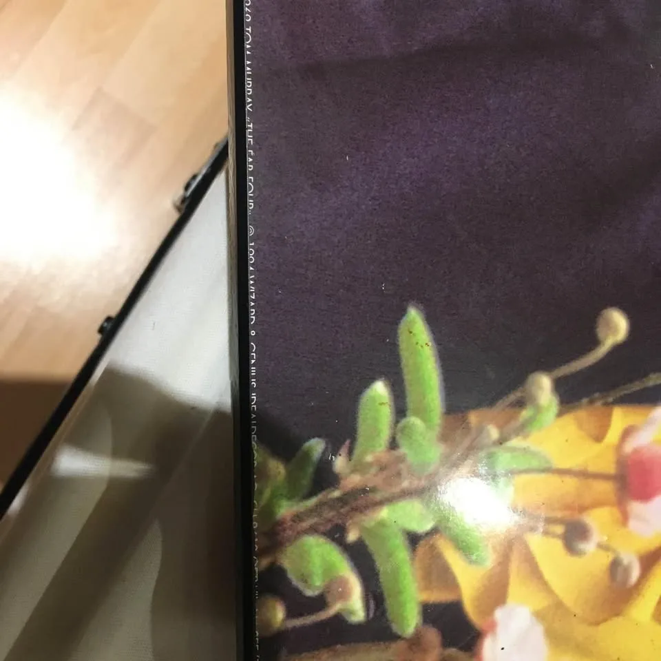 Beatles FAB FOUR 1969 Tom Murray Poster 24" X 36" image indicator(10)